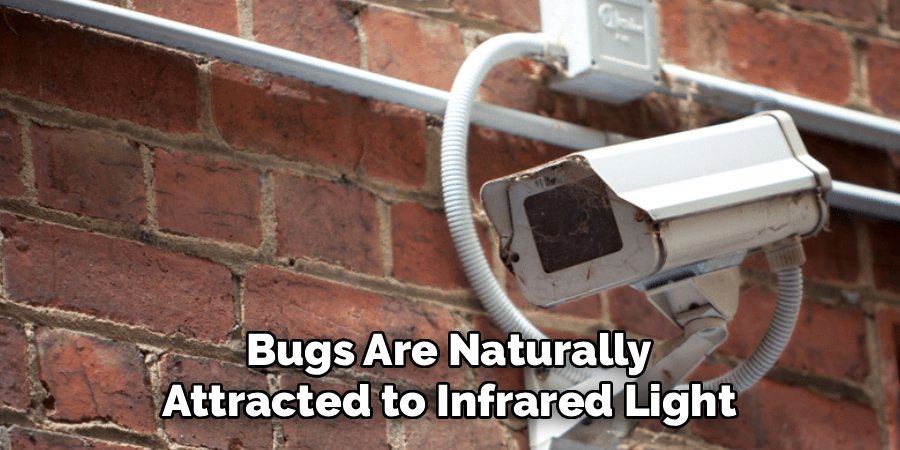 Bugs Are Naturally Attracted to Infrared Light