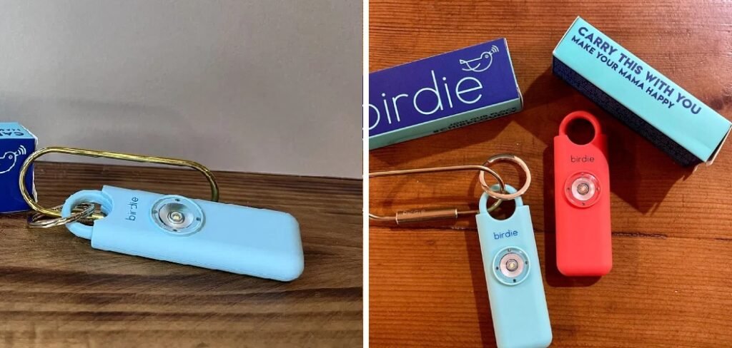 How to Use Birdie Keychain