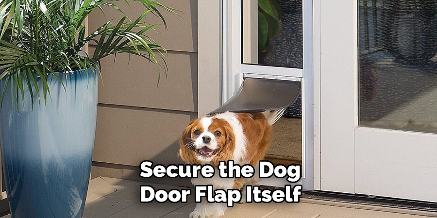 Secure the Dog Door Flap Itself
