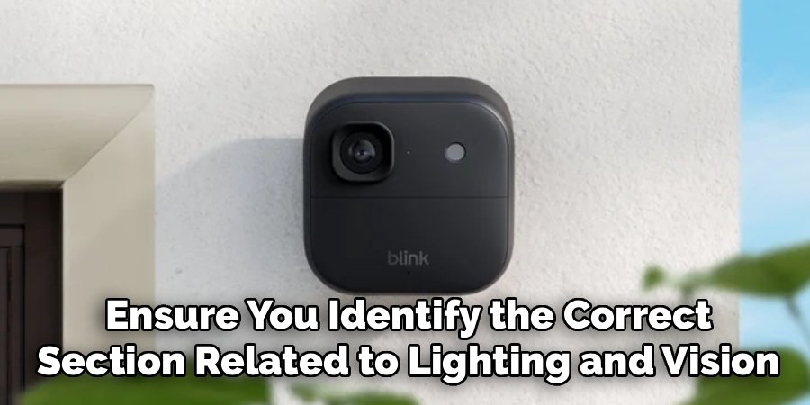 Ensure You Identify the Correct
Section Related to Lighting and Vision